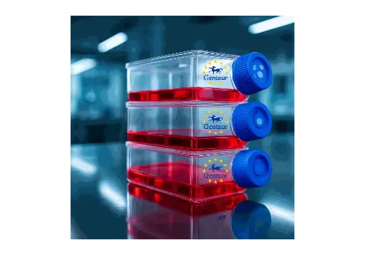 [GEN - CSI088Ca01-500k] Primary NDF Cell, Dog